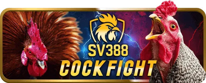 MN88 Nổ Hũ và Slots